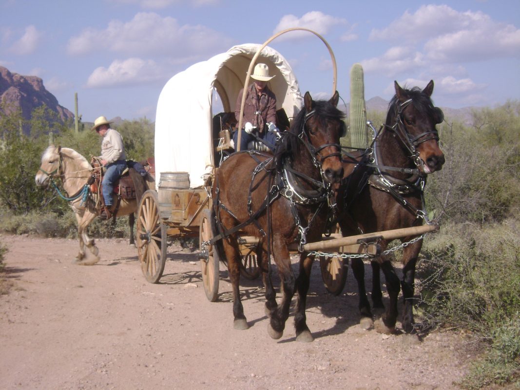 Donnelly’s DSpur Riding Stables Ultratainment